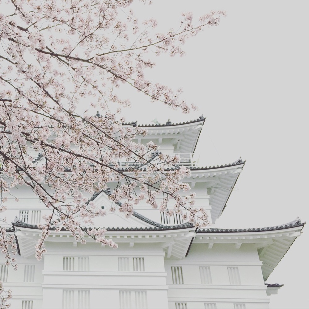 Meet your Posher, Peach